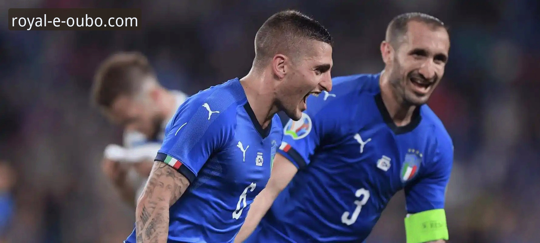 意大利无缘世界杯背后的体育数据与平台体验详解