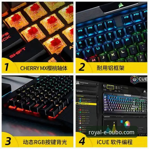 欧博体育平台2026最新版本进入与安装使用教程